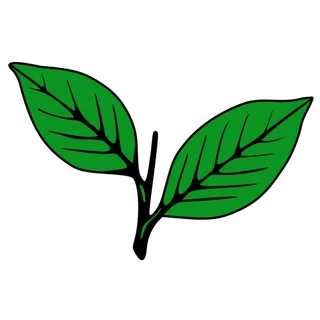 Logo of All India Anna Dravida Munnetra Kazhagam.