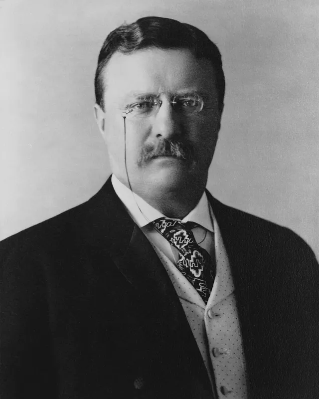 Photographic portrait of Theodore Roosevelt in 1904.